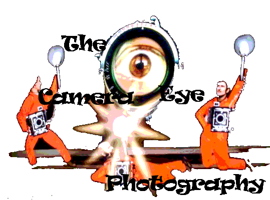 The Camera Eye Photography