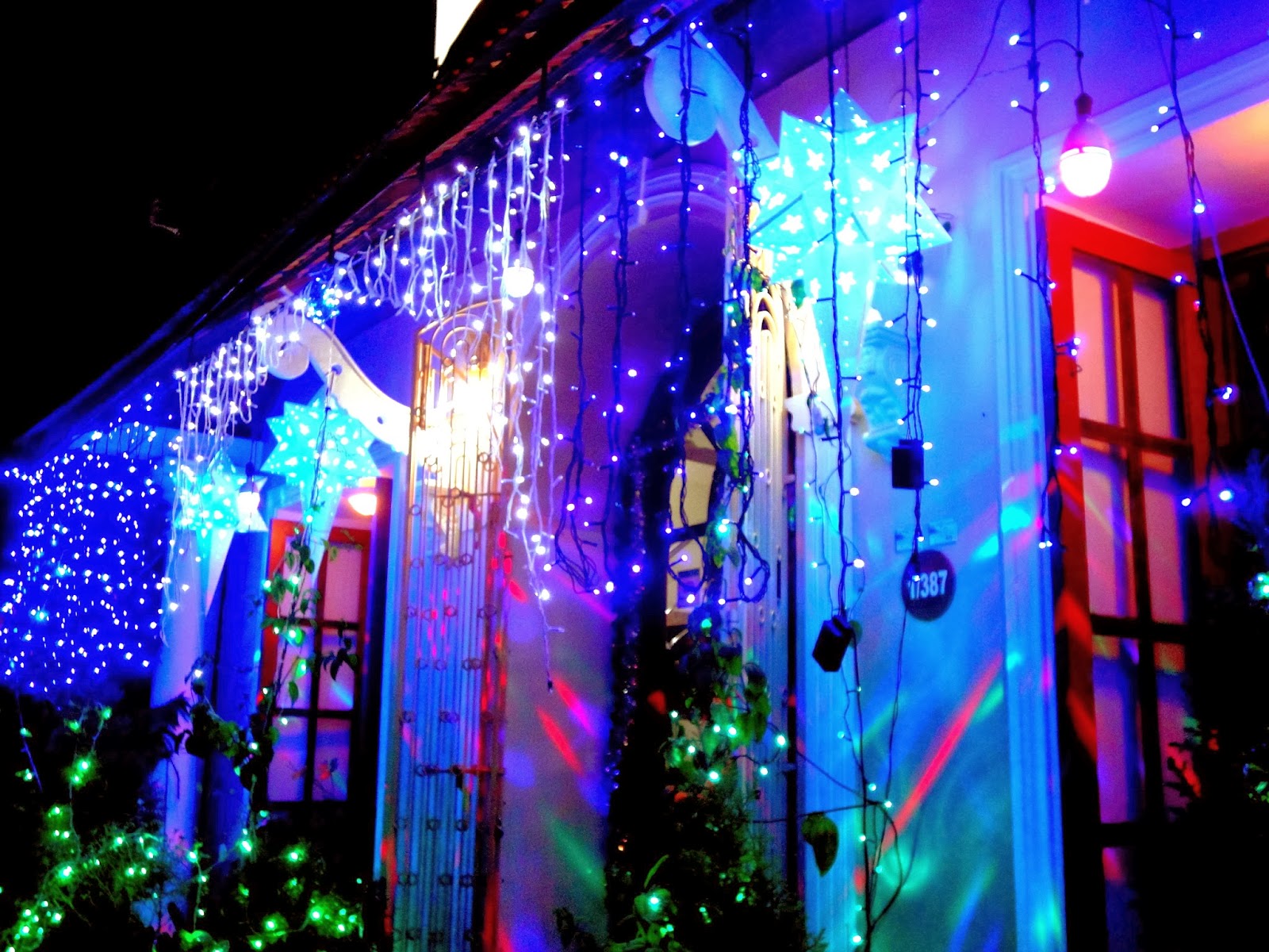 Tickled by Inspirations... Christmas and New Year in Kochi