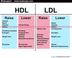 Cholesterol Hdl Ldl