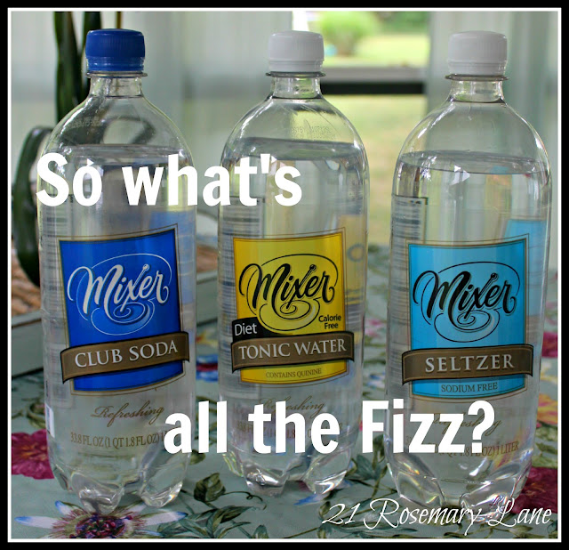 21 Rosemary Lane Club Soda Tonic Water or Seltzer?