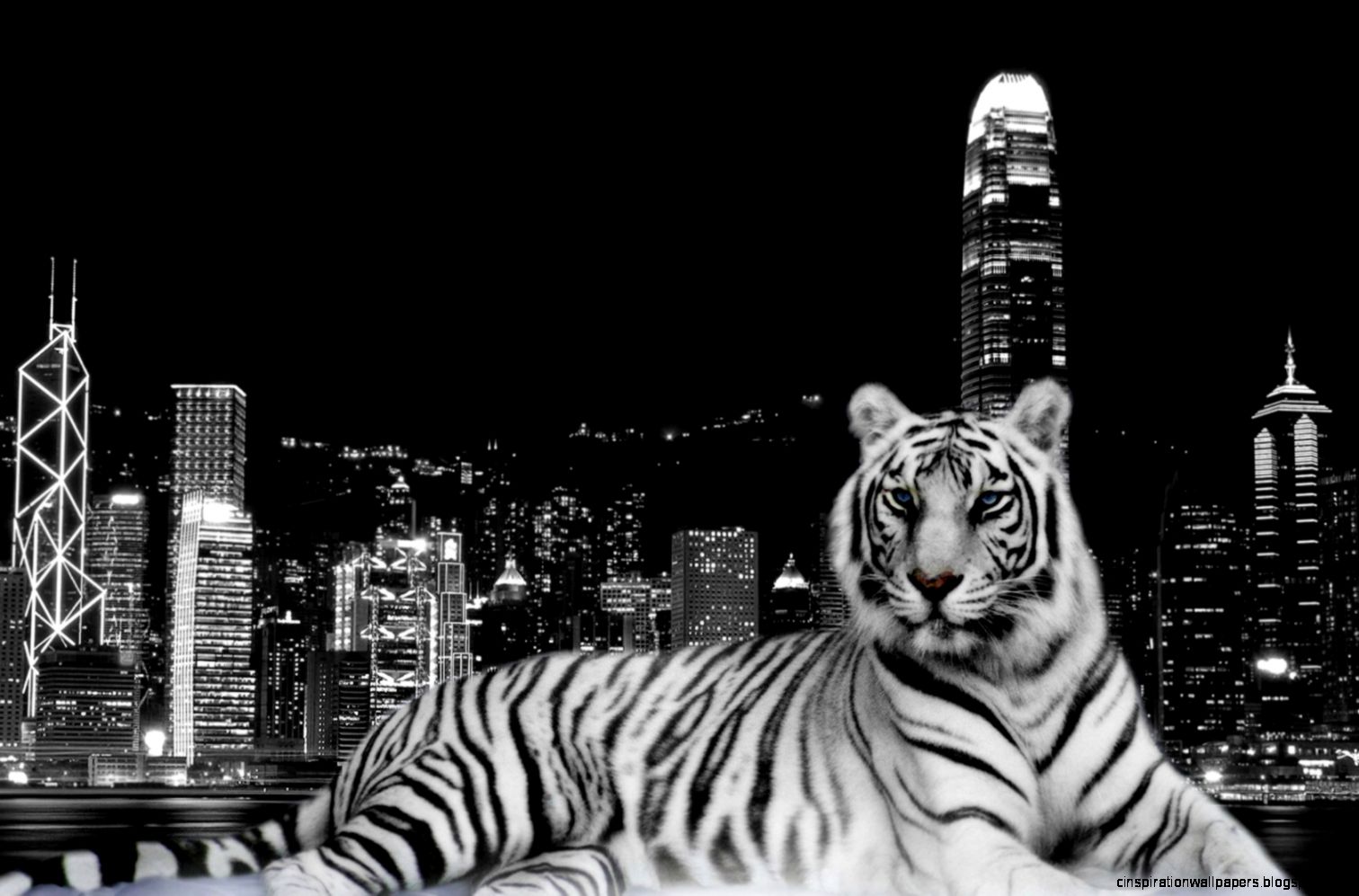 Black and White Tiger 1400 X 1050 Black and White Tiger 1400 X 1050
