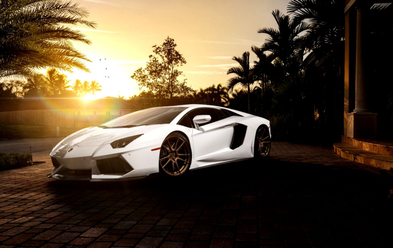 White Lamborghini Car Hd Wallpaper