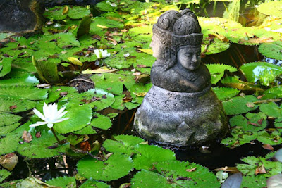 Balinese Lotus Pond at Bali Garden Beach Resort Kuta