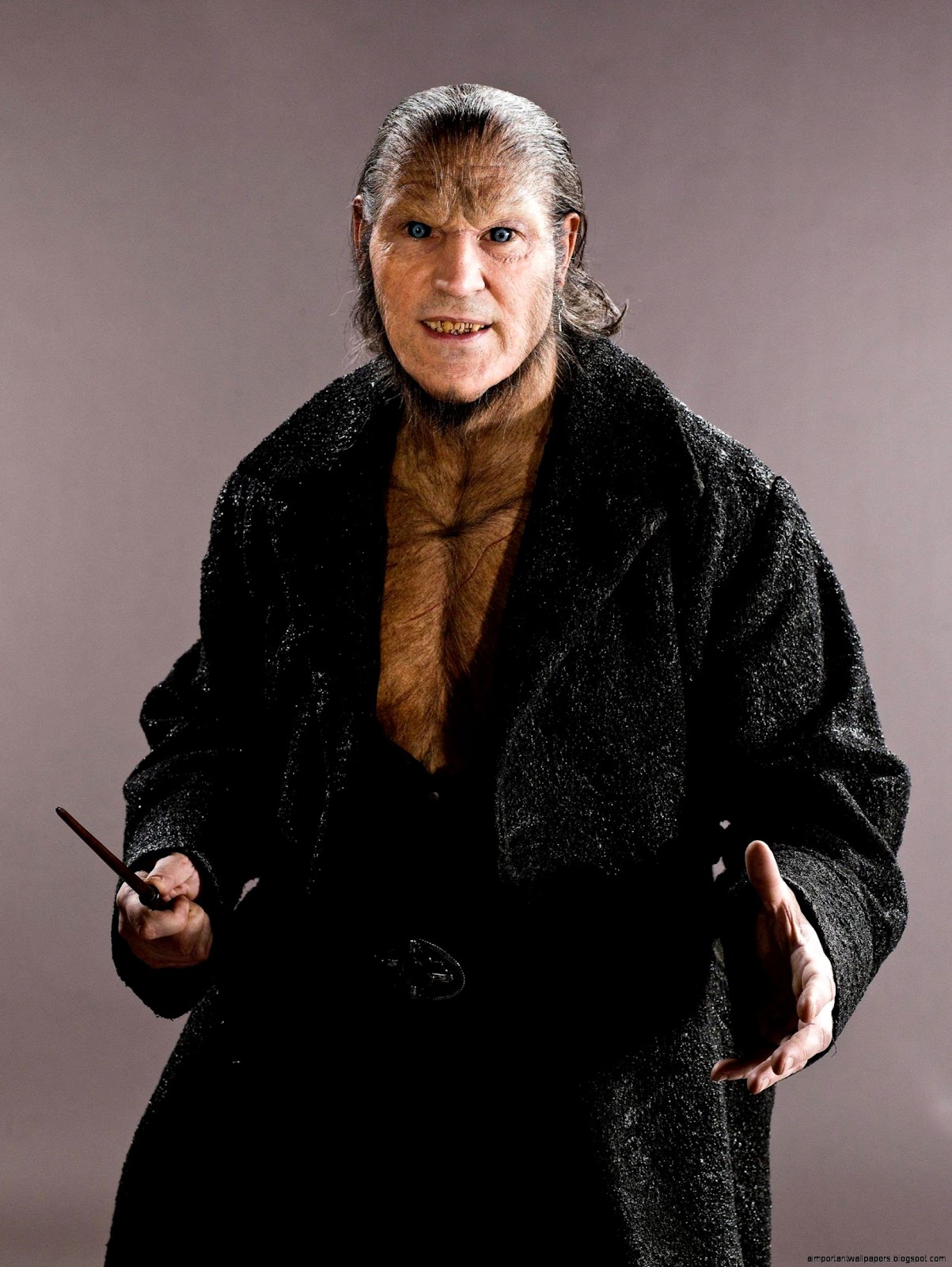 Harry Potter Fenrir Greyback Harry Potter Fenrir Greyback