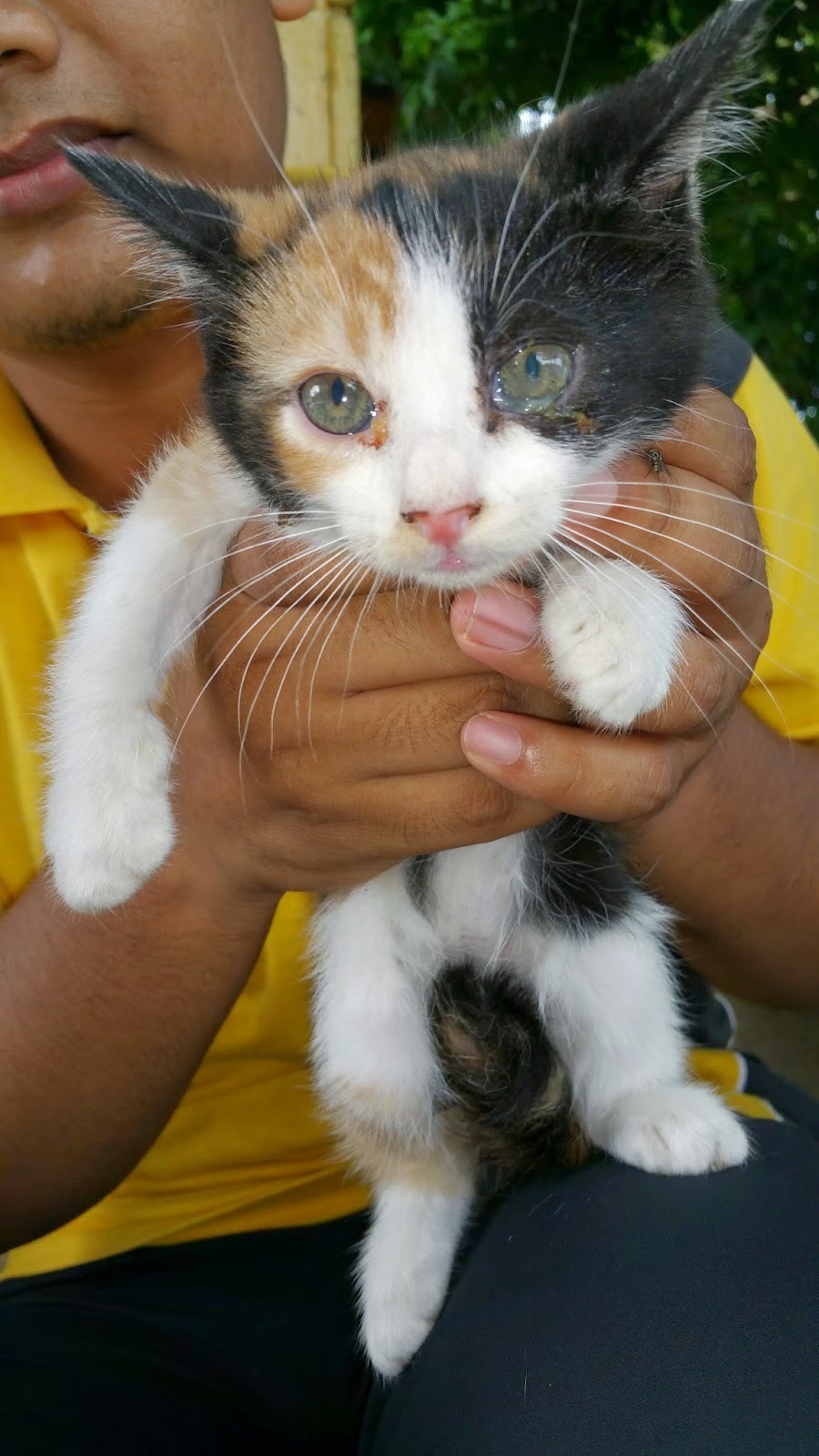 Xing Fu GOUND OR RHEUM