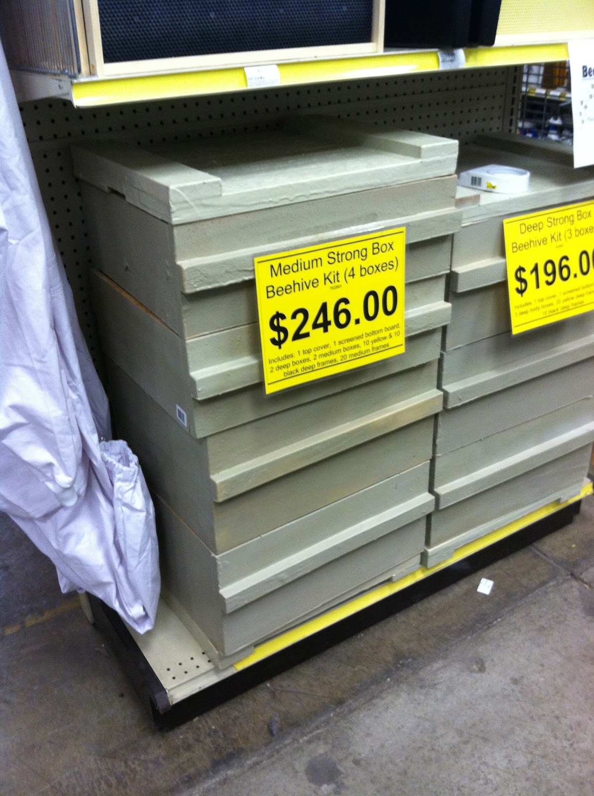 Utah Sustainable Gardening Mainstream Beekeeping