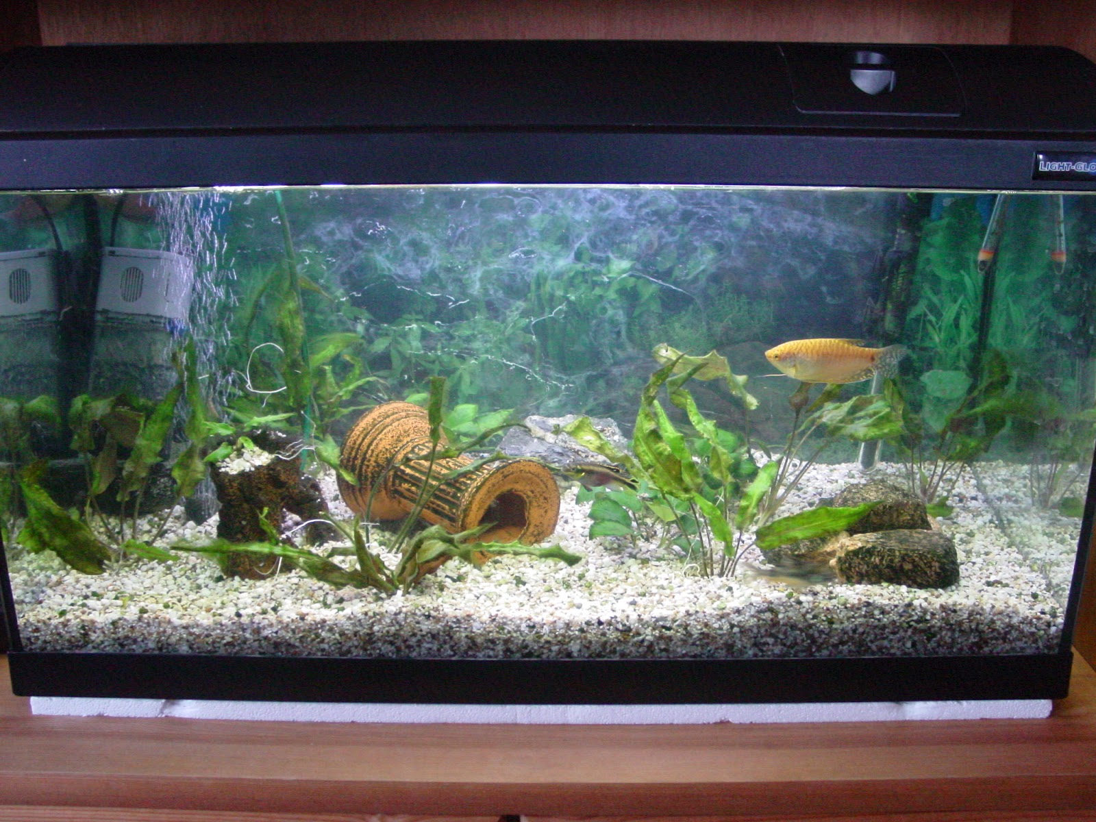 nona1397: Aquarium 2012
