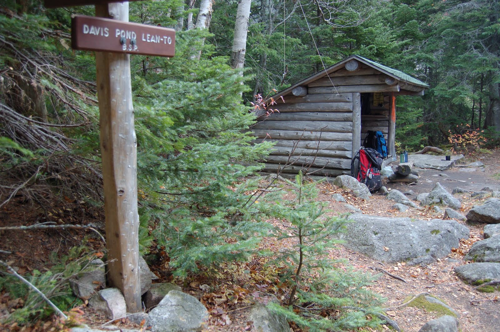 New England Life List Trips Book Reservations Now Appalachian