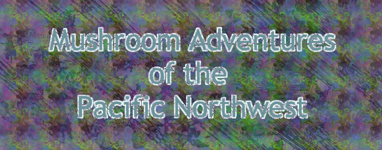 Mushroom Adventures of the Pacific Northwest