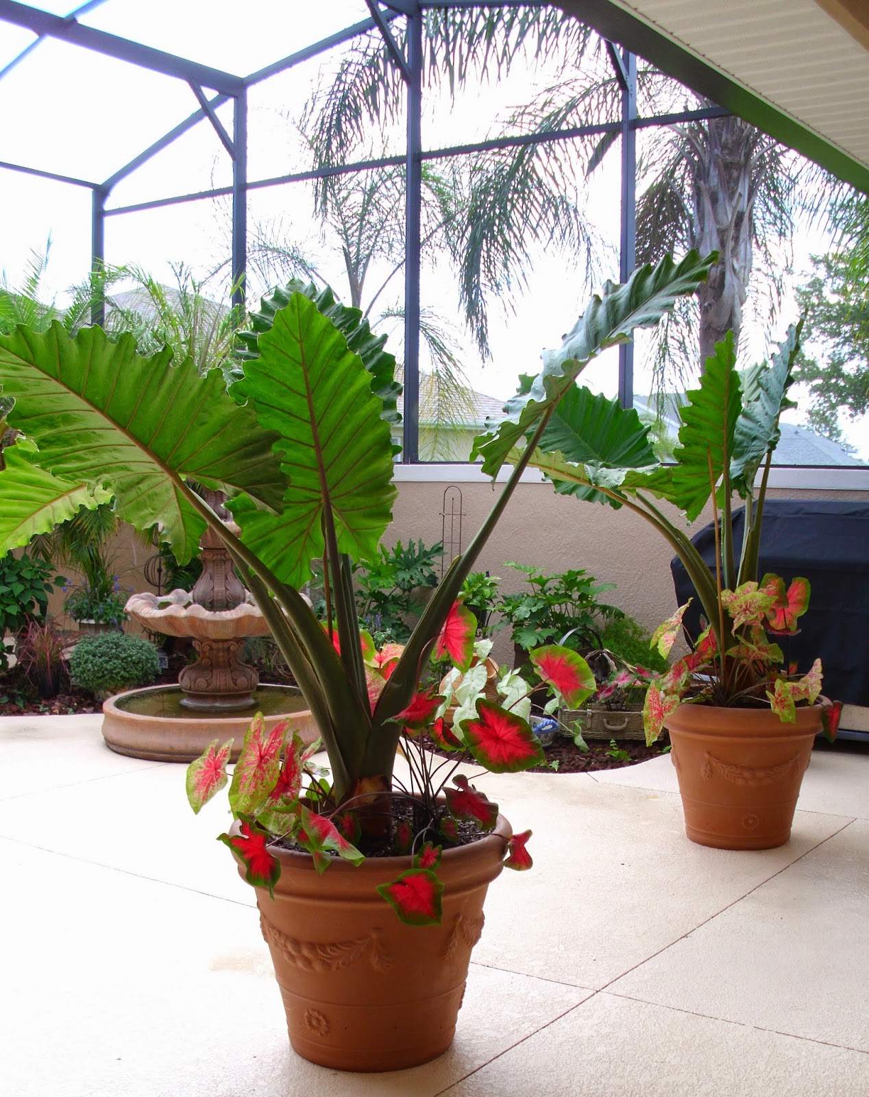 File:feustmann cottage.jpg No Minimalist Here: Our Courtyard Tour & Floor Plan