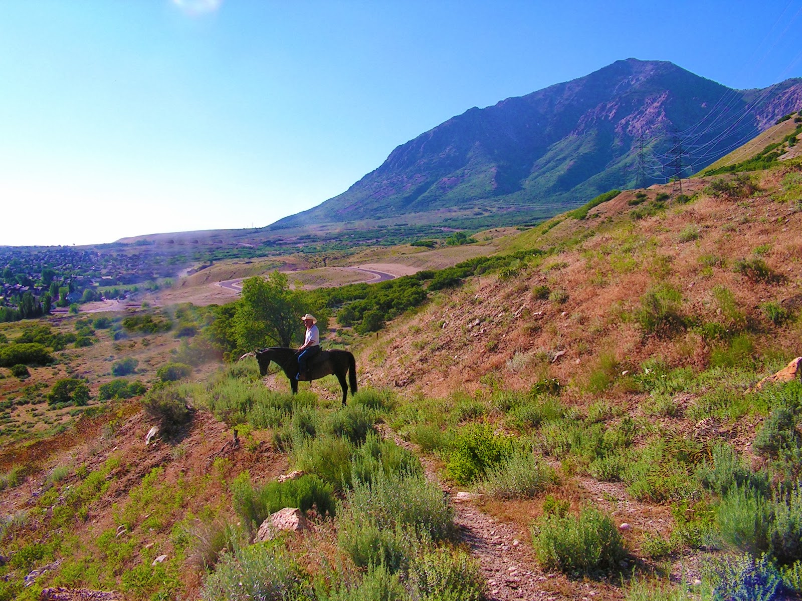 Dream Packer Trail Adventures North Ogden, Bonneville Shoreline