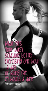 What fits your busy schedule better - Exercising one hour a day or being fat 24 hours a day?