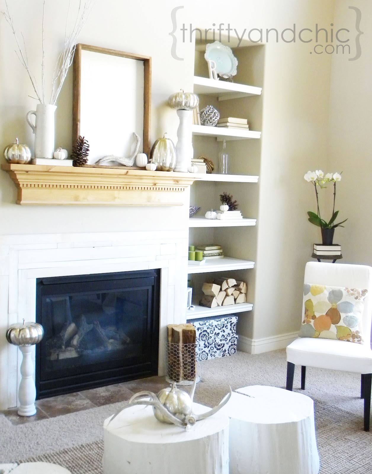 Thrifty and Chic DIY Projects and Home Decor