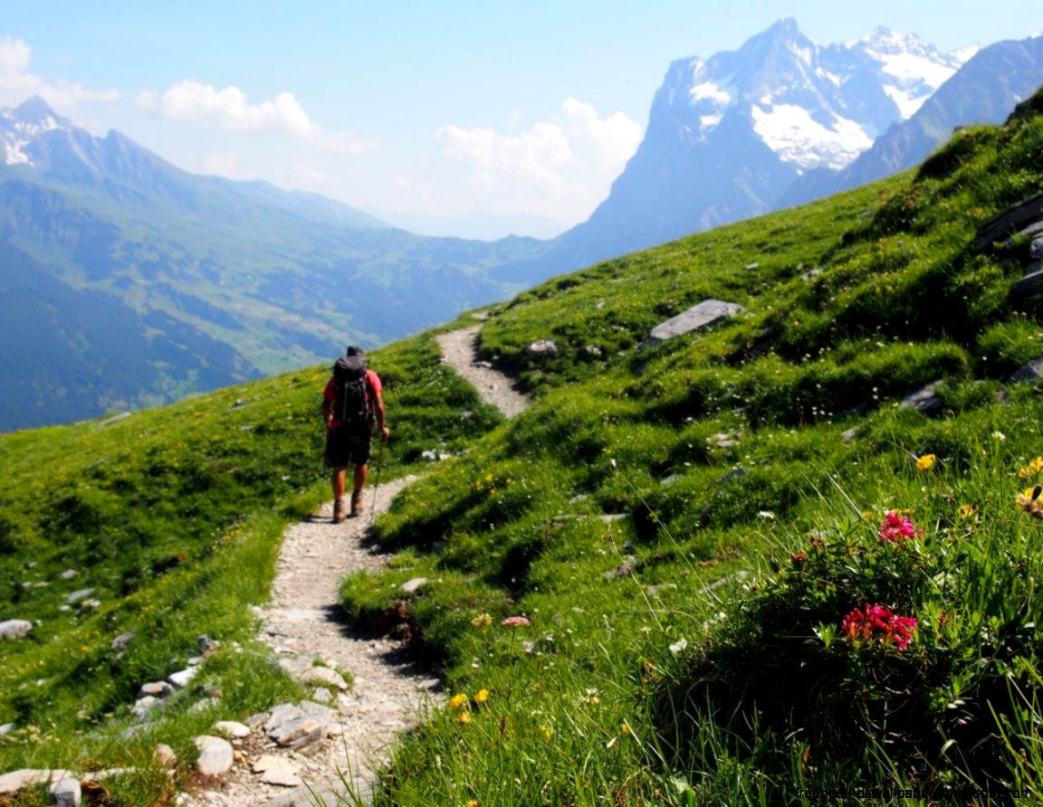 Walking in the Bernese Oberland Switzerland Walking in the Bernese Oberland Switzerland