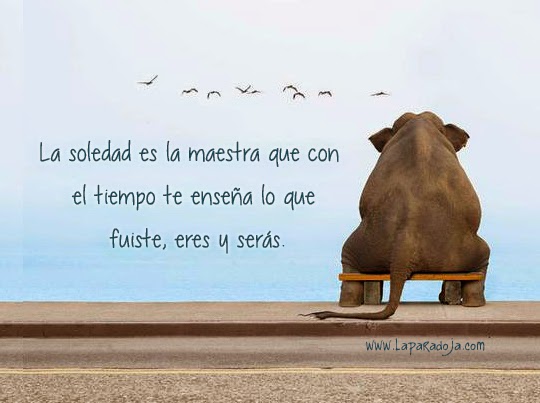 Miedo A Estar Solo Y La Paradoja De La Soledad La Paradoja