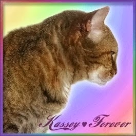 Kassey Forever