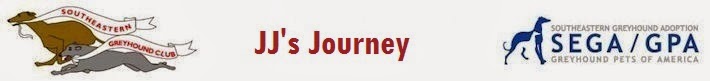 JJ's Journey