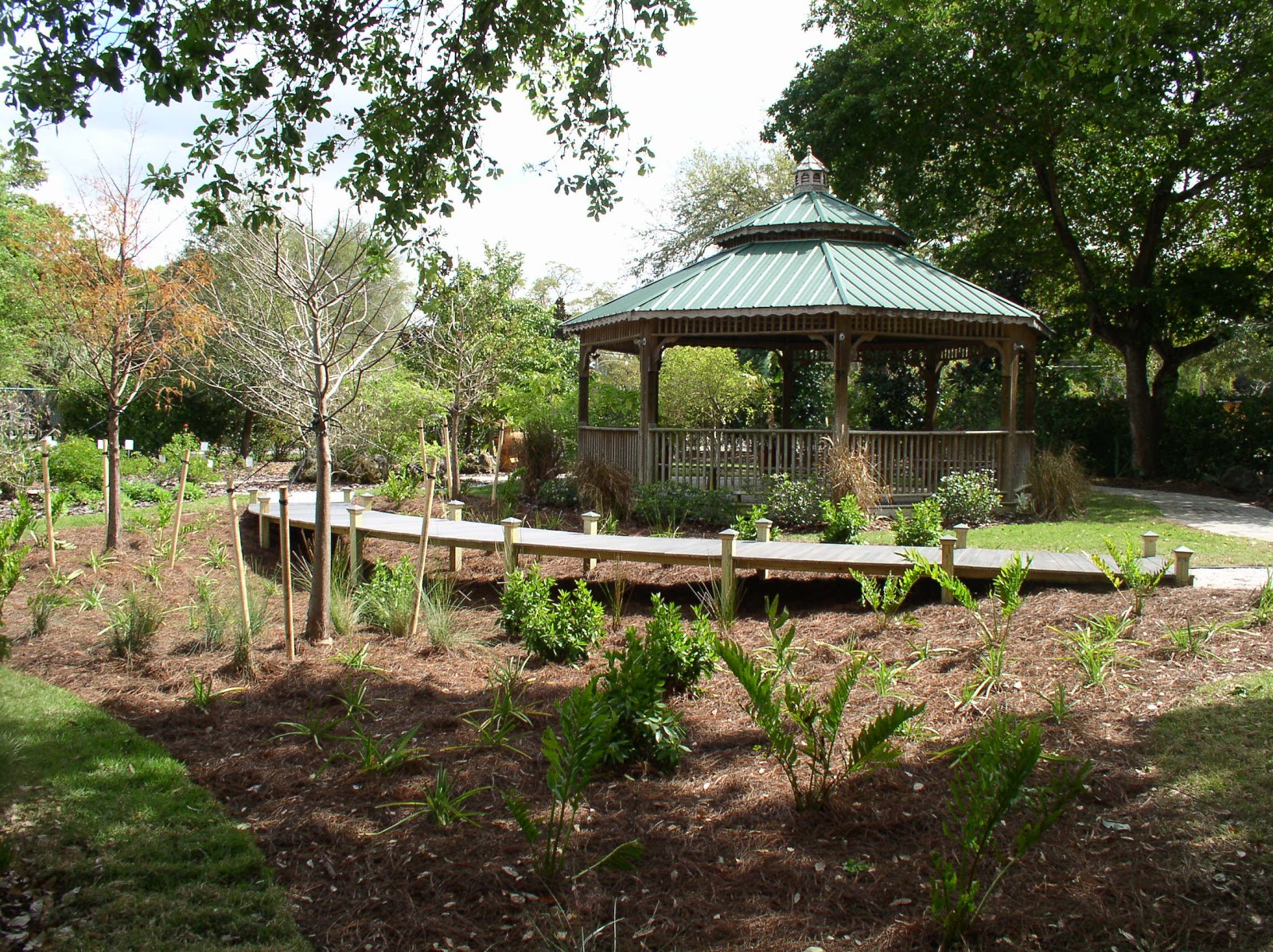Florida Flowers and Gardens Building a Rain Garden