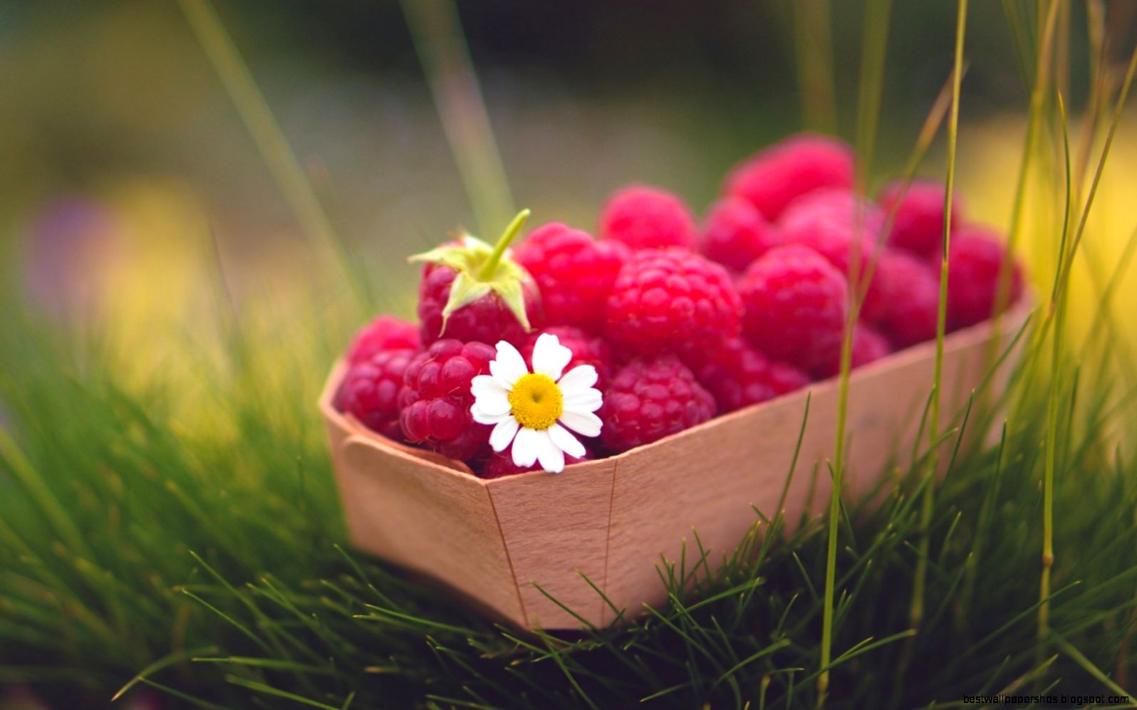 Latest Desktop Background Images Group 81 Latest Desktop Background Images Group 81