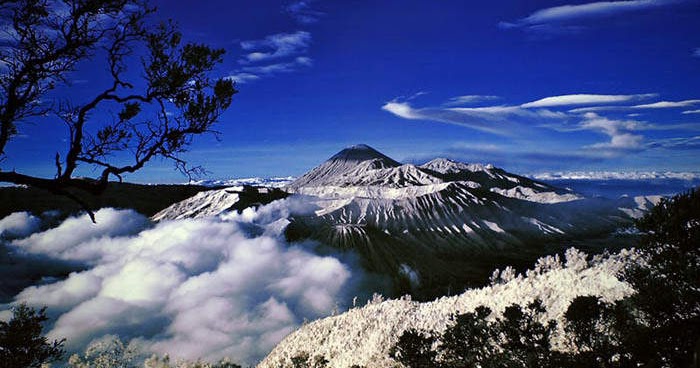 Berkunjung ke Puncak Jayawijaya (7 Summit), Papua - Distributor