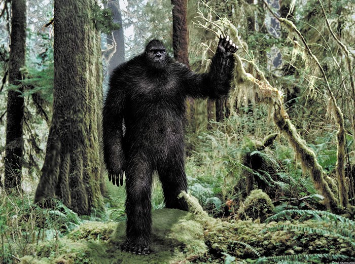 Cual es la Verdad Pie Grande