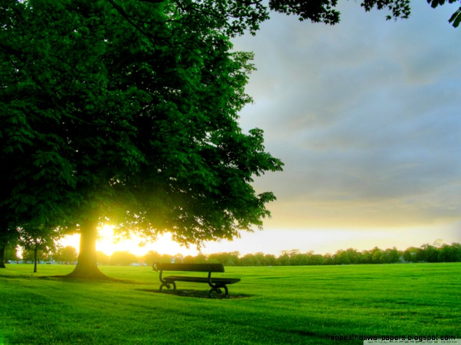 Summer Landscape Nature 7 HD desktop wallpaper Widescreen High Summer Landscape Nature 7 HD desktop wallpaper Widescreen High