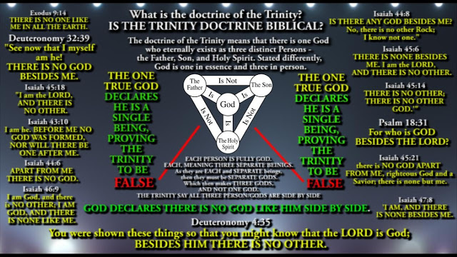 SHOCKING COMMENT Titled: The Trinity is NOT Biblical.