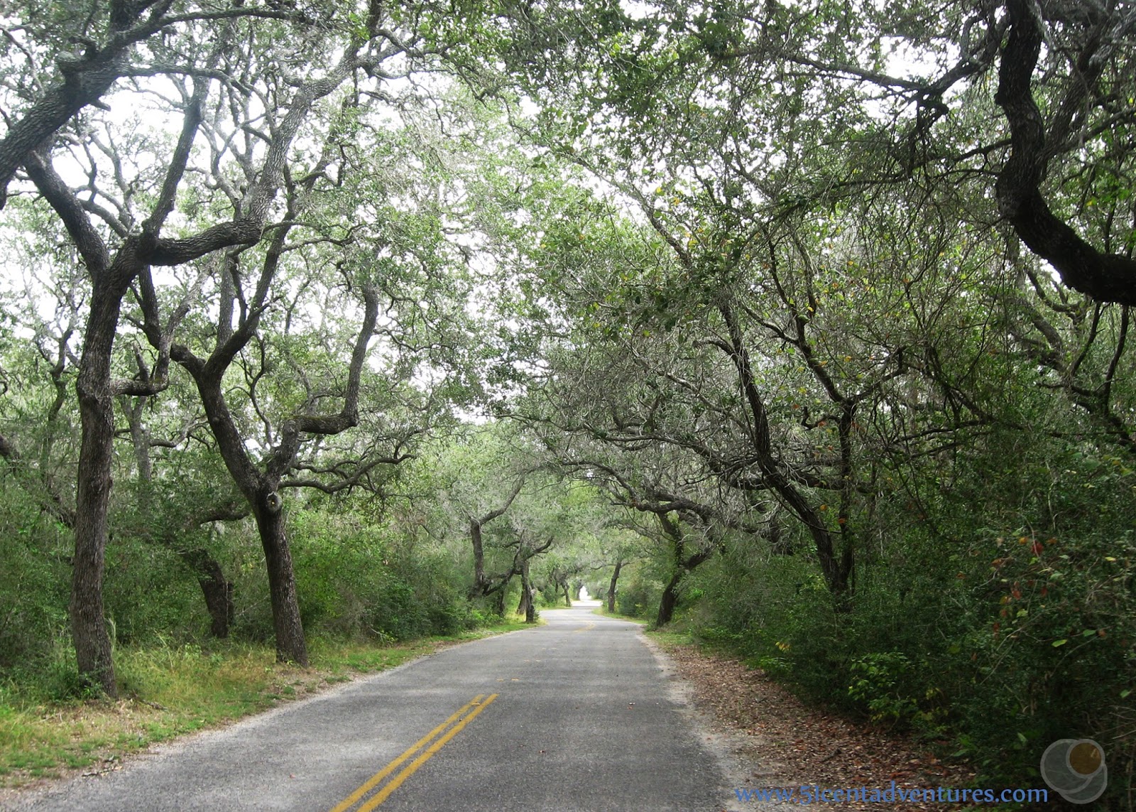 51 Cent Adventures Goose Island State Park Rockport, Texas