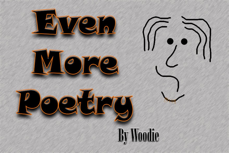 Even MORE Poetry by Robert R. Woods