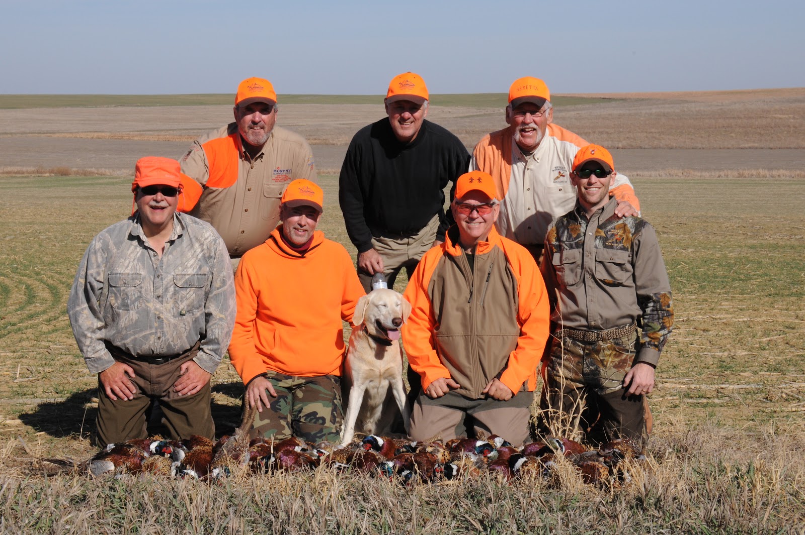 Kansas Pheasant hunt 2012