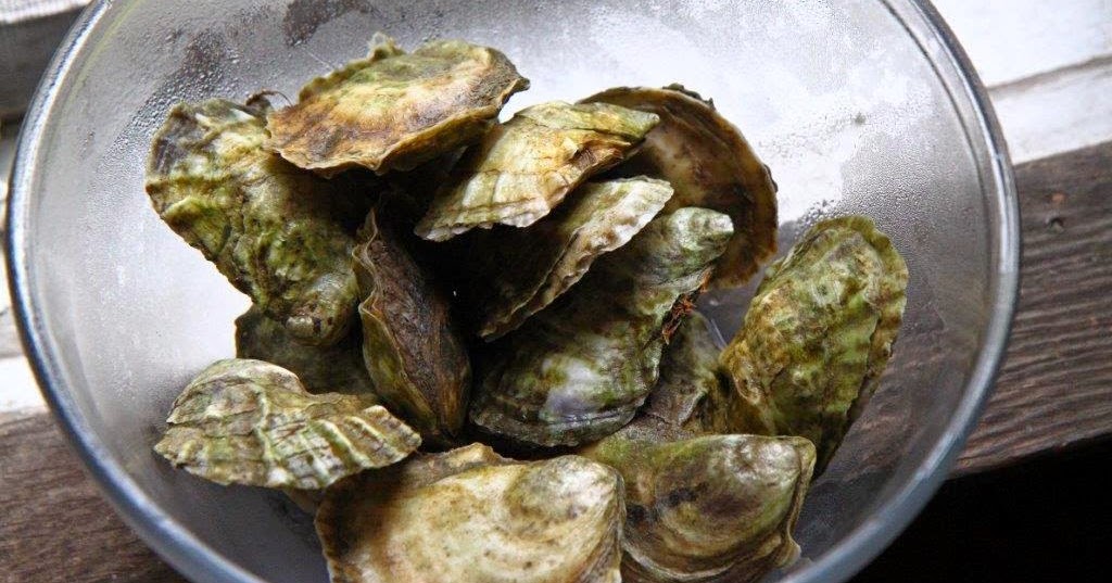 Hungry Naturalist Vol. 4 No. 9 Homemade Oyster Sauce