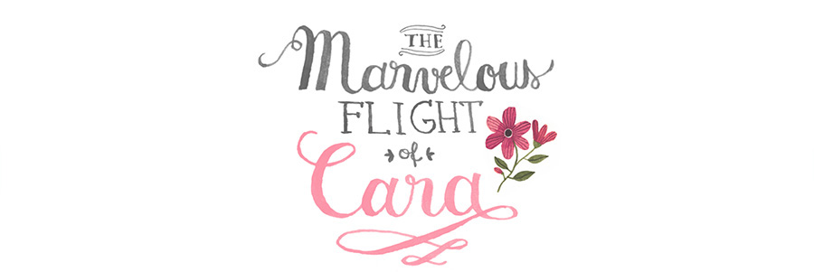 My Marvelous Flight
