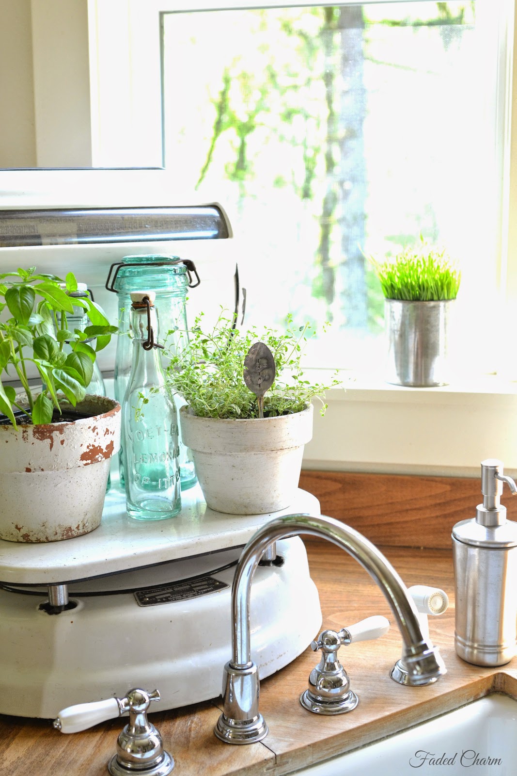 Faded Charm Fresh Herbs in the Kitchen