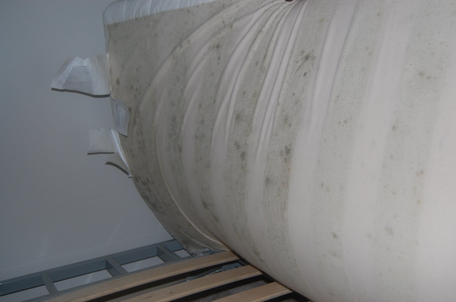 Mold Mold affected furniture