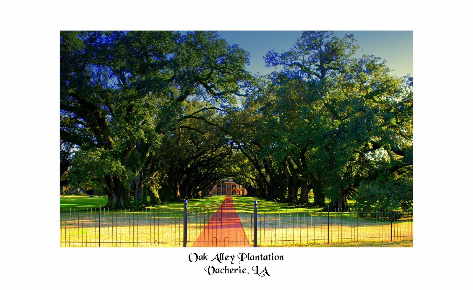 Oak Alley Plantation