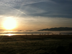 San Luis Creek Fog