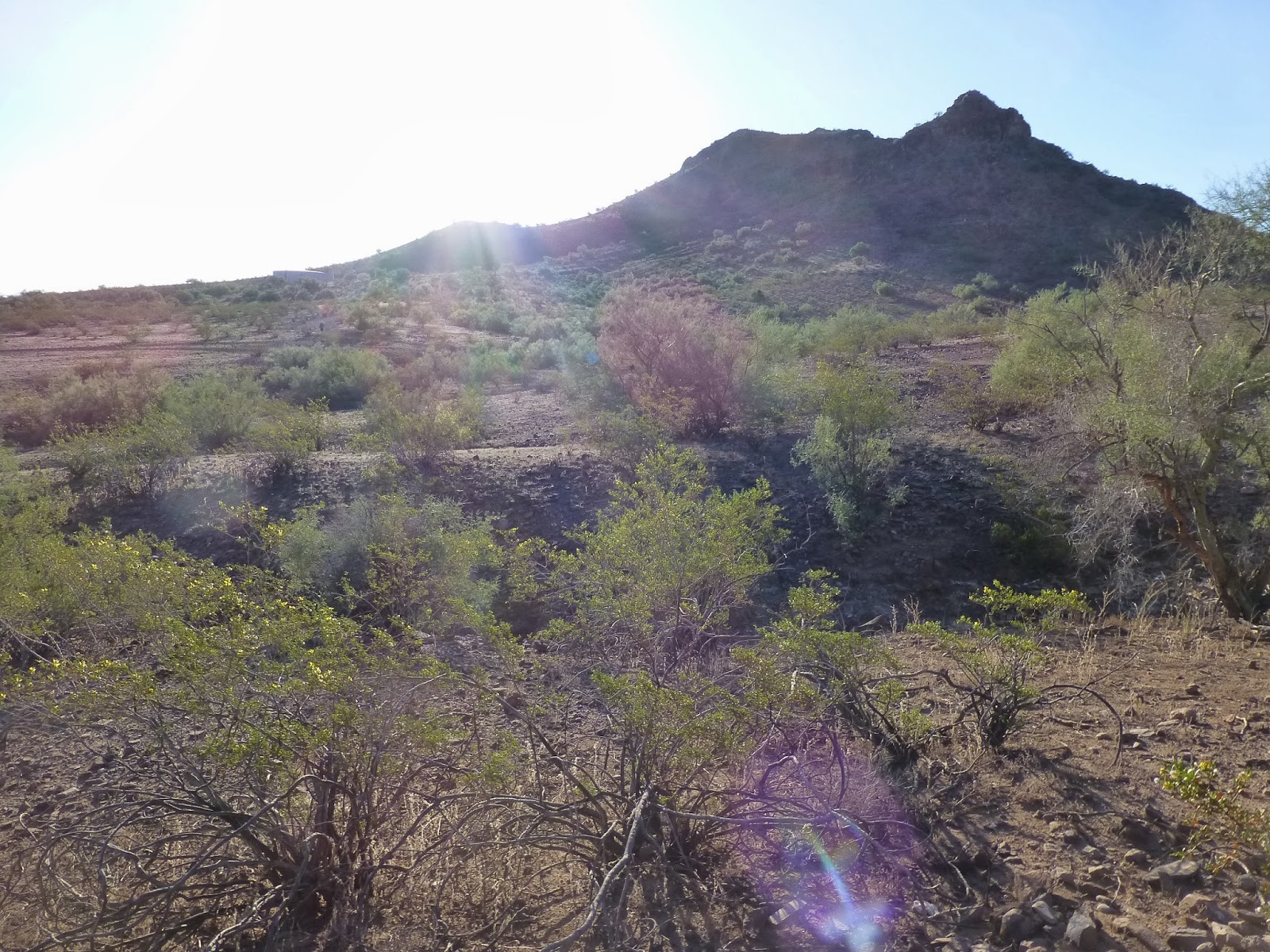 Hiking Lookout Mountain, Phoenix, Arizona