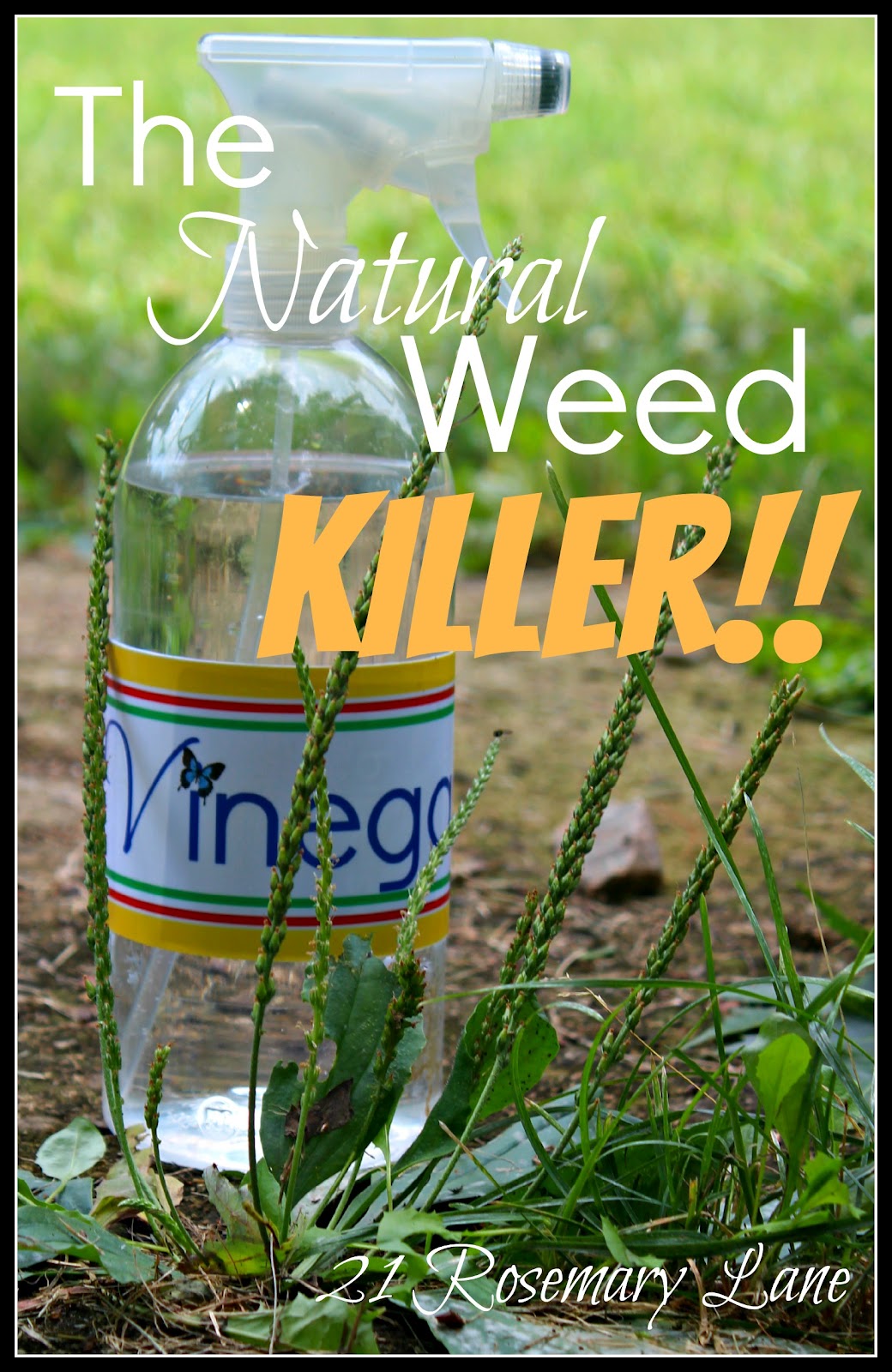 21 Rosemary Lane Killing Weeds with VINEGAR Plus a Cute Bottle Lable