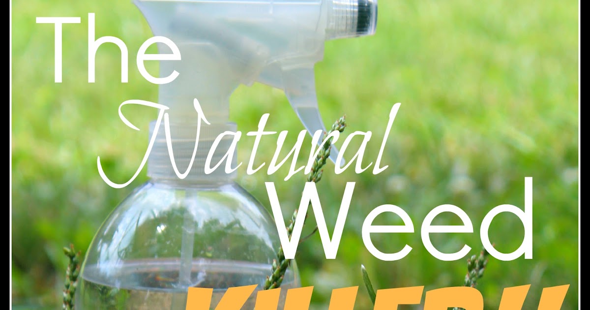 21 Rosemary Lane Killing Weeds with VINEGAR Plus a Cute Bottle Lable