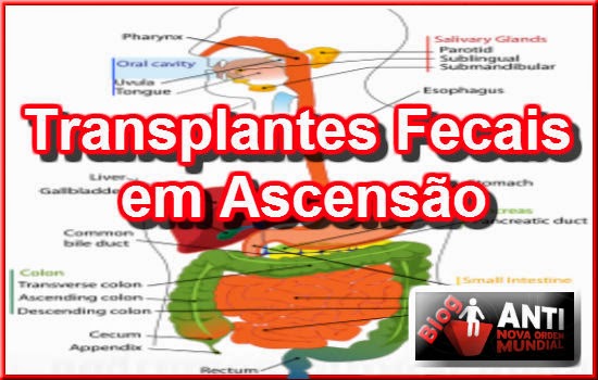 https://anovaordemmundial.com/2014/05/video-transplantes-de-fezes-em-ascensao.html