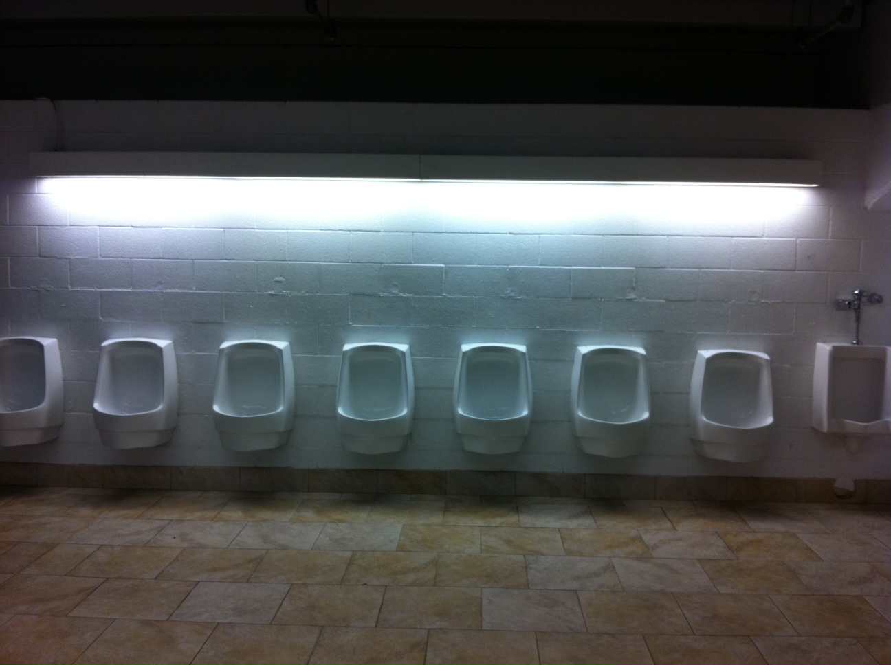 Daily Beer Review Sun Life Stadium Urinal Study