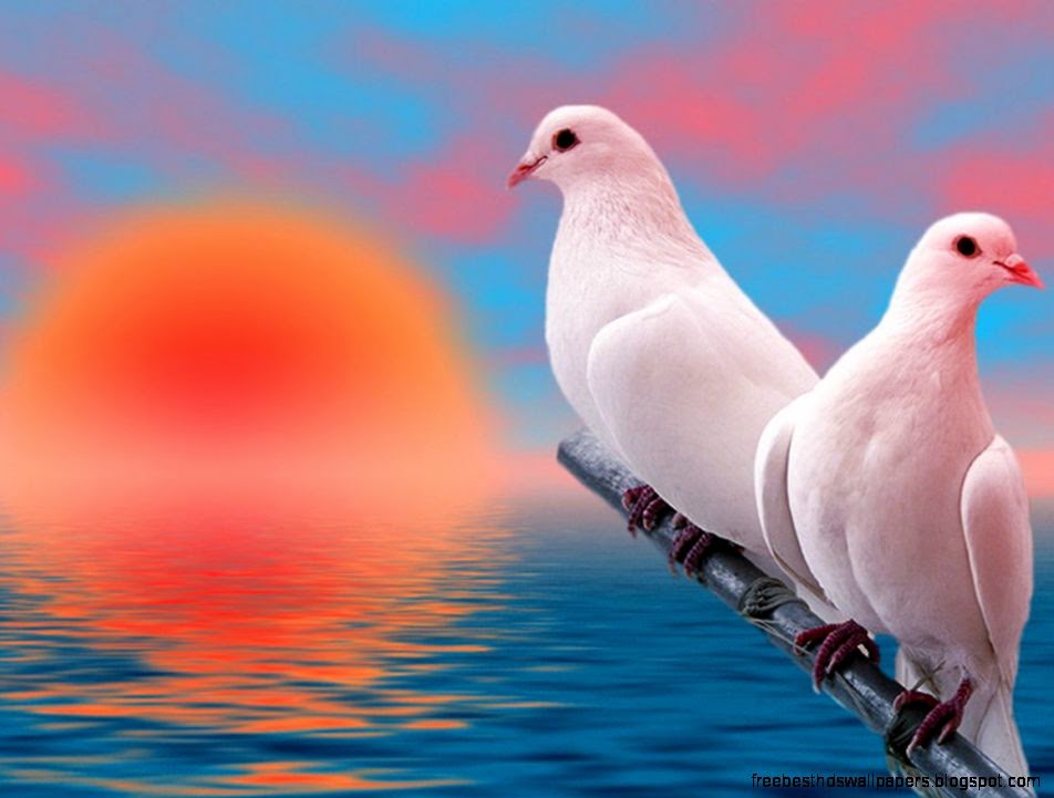 Cool Wallpaper HD for Desktop Saying Pictures Cool Wallpaper HD for Desktop Saying Pictures