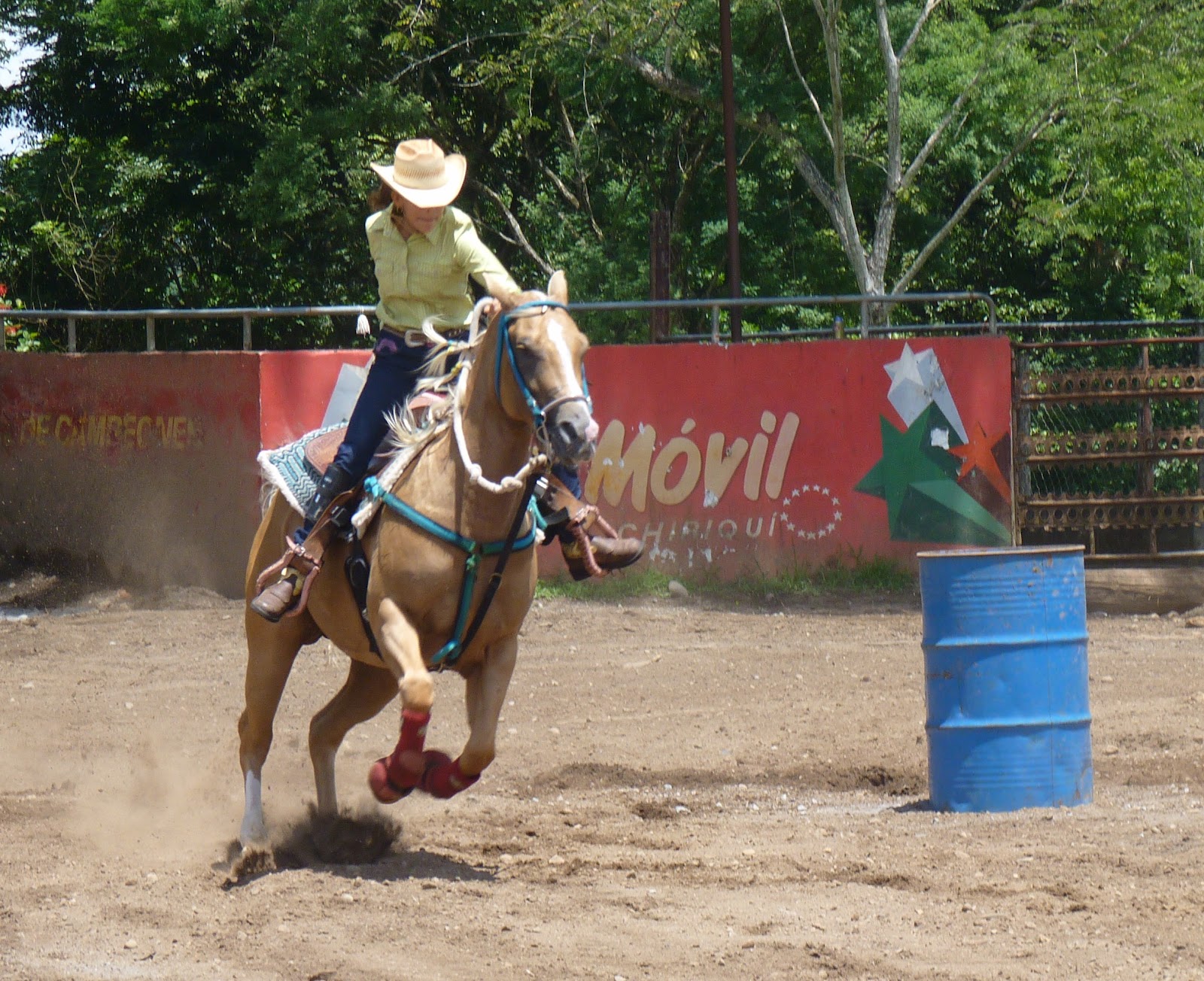 Horse Talk Panama Carreras de Barriles la Competencia Panamá•Barrel