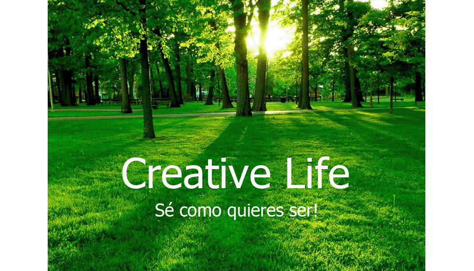 Creative Life