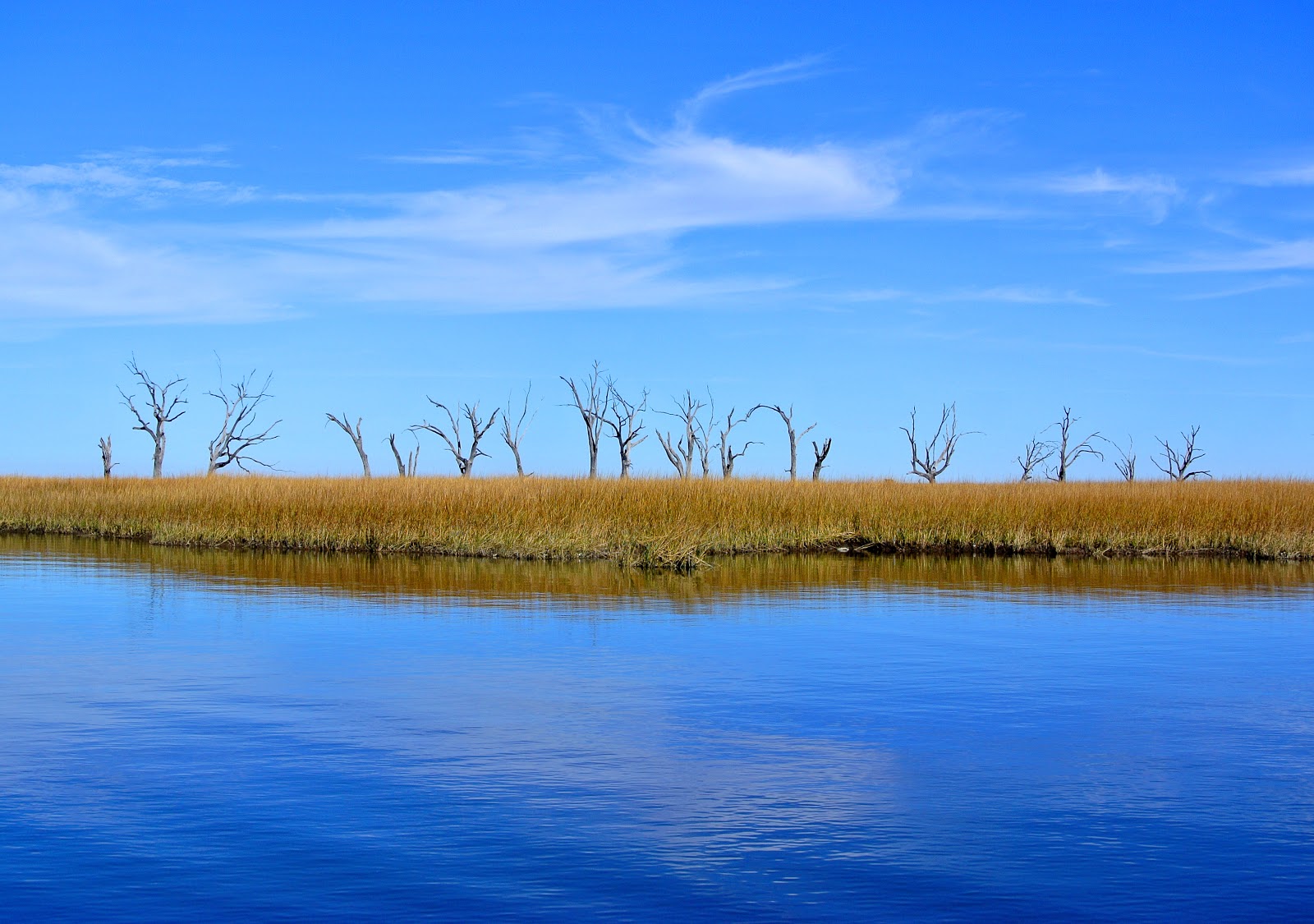 El Camino Blues... Point Aux Chene Fishing...