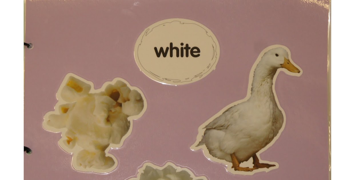 Best Teacher Supply & Toys