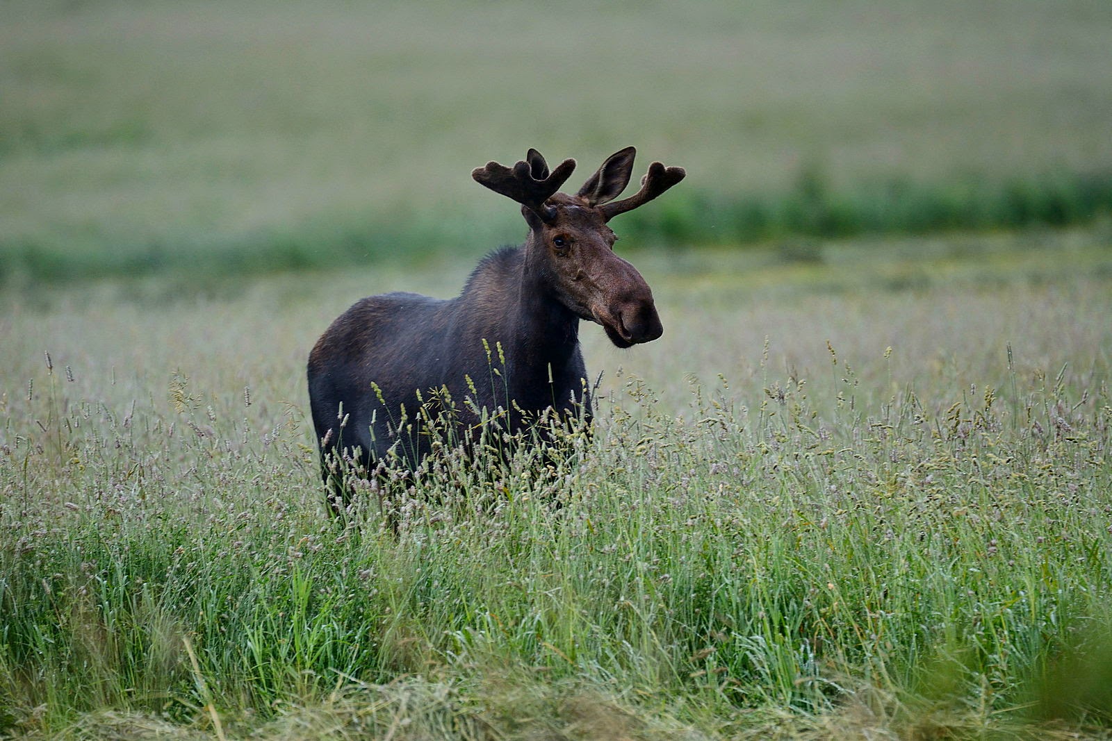 Get Turbo S Track And Photo Tour July 2014 Desktop Wallpaper Get Wallpaper Turbo S Track And Photo Tour July 2014 For Android