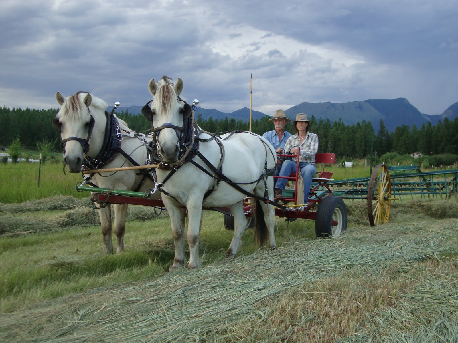 Doc Hammill Horsemanship Videos and Horse Drawn Haying with
