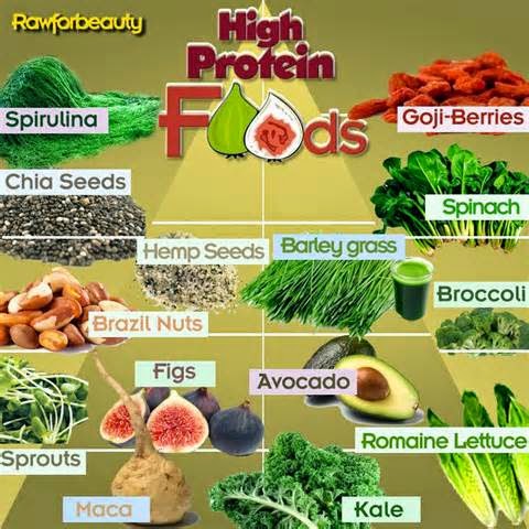 Things should be taken Into Account for a High Protein Diet Menu Getting sound nourishment is positively not a simple thing. A few of us even need to head off to an unmanageable restaurant to get the sustenance we need. Numerous individuals suppose it is typical on the grounds that they generally make the restaurant an extremely great place to carry the vital nourishment. Particularly when we are set to eat together with companions or gang. Obviously we will dependably consider the sustenance that will be expended. Some of them generally want to invest time in a costly restaurant than need to make supper. Yet by introducing supper at home can spare you a considerable amount of cash. Furthermore we are likewise fit to extemporize fun through the utilization of high protein diet menu.
