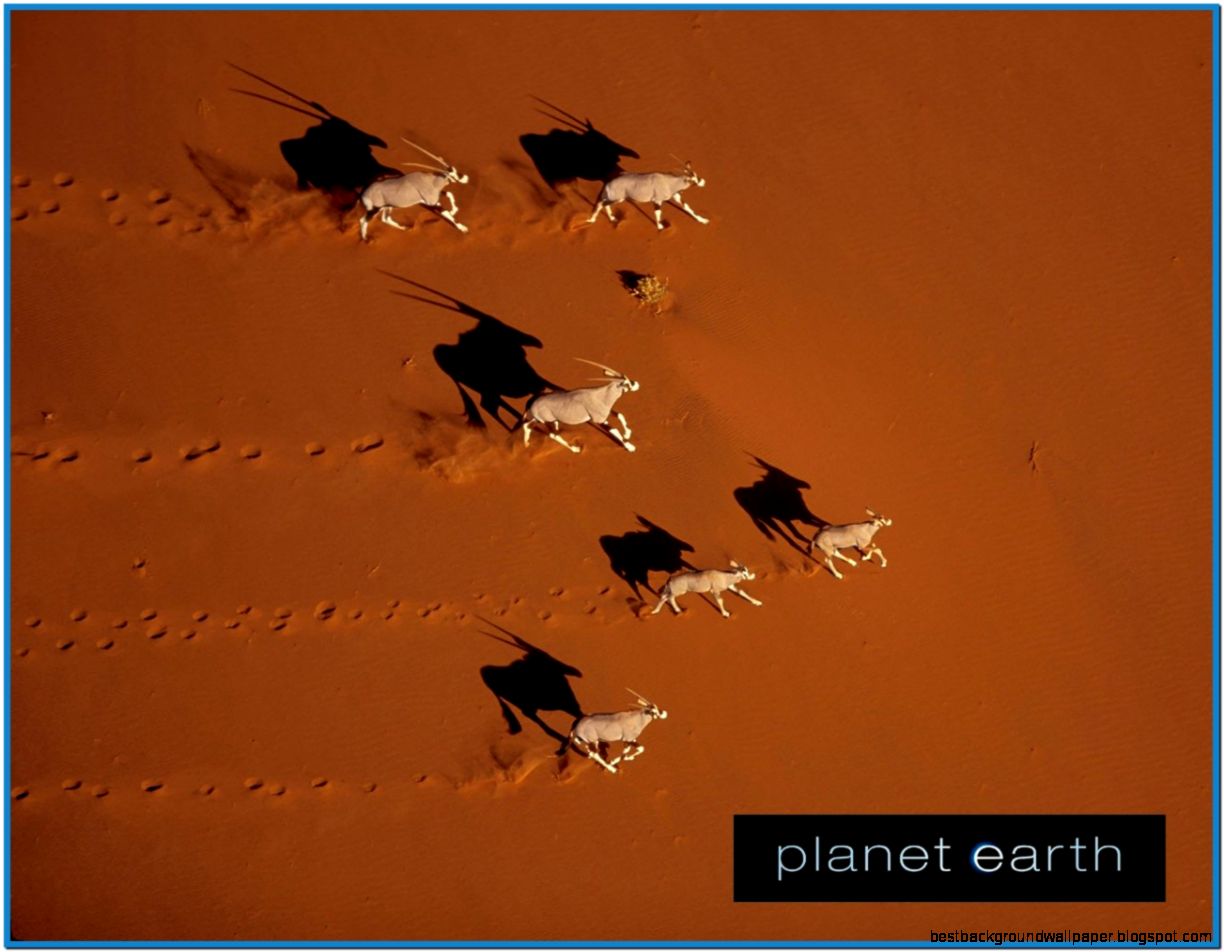 Planet Earth Discovery Channel Planet Earth Discovery Channel
